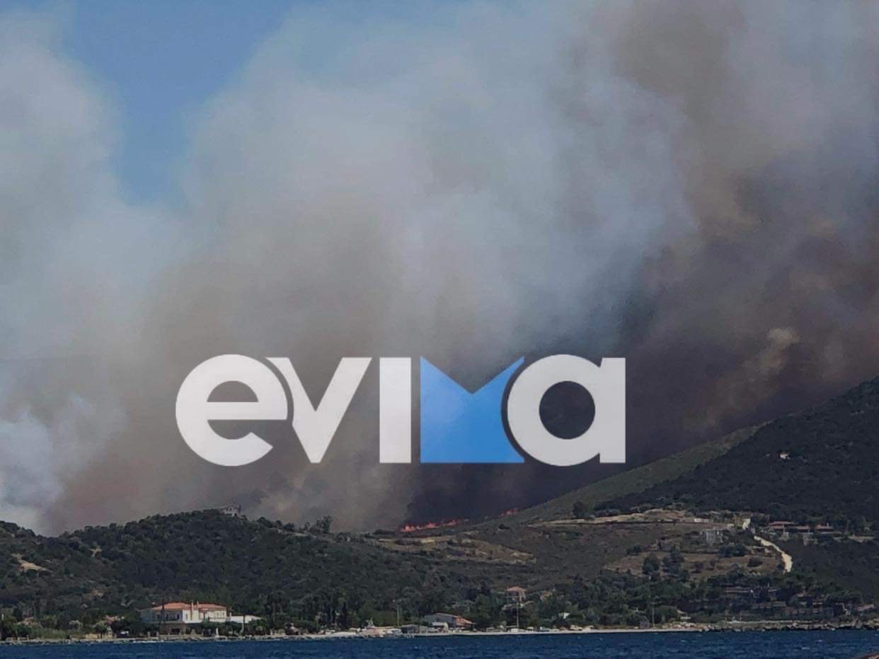 Δήμαρχος Καρύστου στο evima.gr: Ανεξέλεγκτη η φωτιά στα Νέα Στύρα, κλειστός ο δρόμος από Στύρα προς Ν. Στύρα