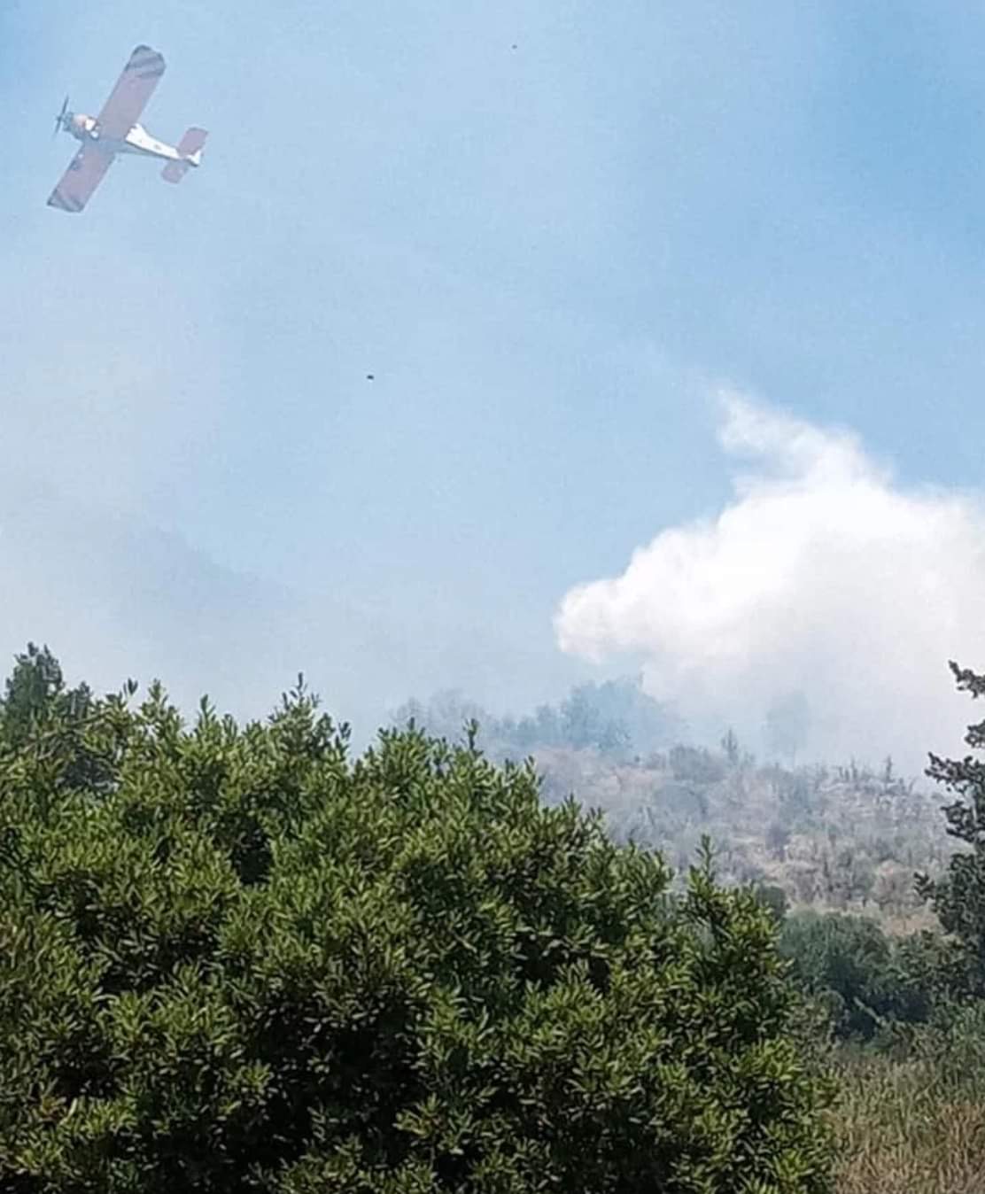 Φωτιά στην Κεφαλονιά: Εκκενώνονται οικισμοί – Οι φλόγες έφτασαν στο Καπανδρίτι