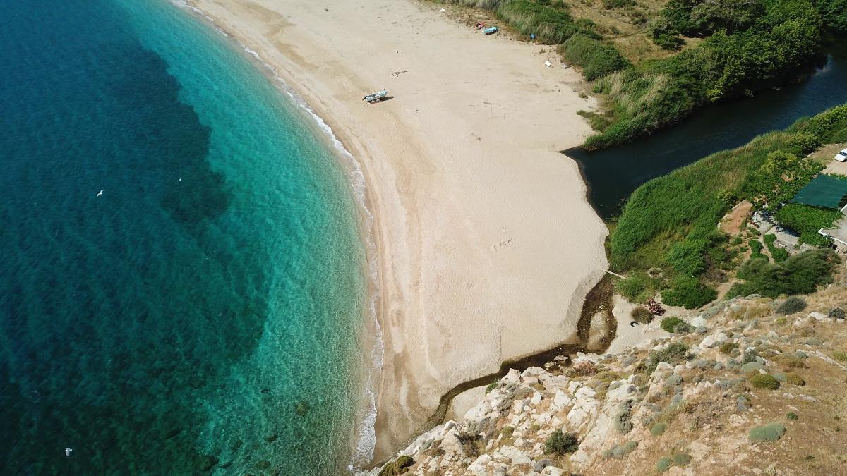 Η εξωτική αμμώδης παραλία της Εύβοιας με τα πρασινογάλανα νερά που τα πλατάνια σταματούν λίγο πριν την ακρογιαλιά!