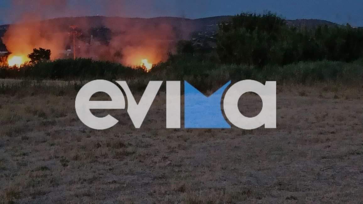 Εύβοια: Δύο φωτιές στο Αλιβέρι