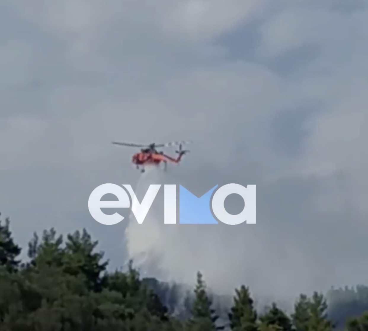 Εύβοια: Υπό έλεγχο η φωτιά στη Λίμνη – Έξι εναέρια μέσα και επίγειες δυνάμεις περιόρισαν άμεσα την πυρκαγιά
