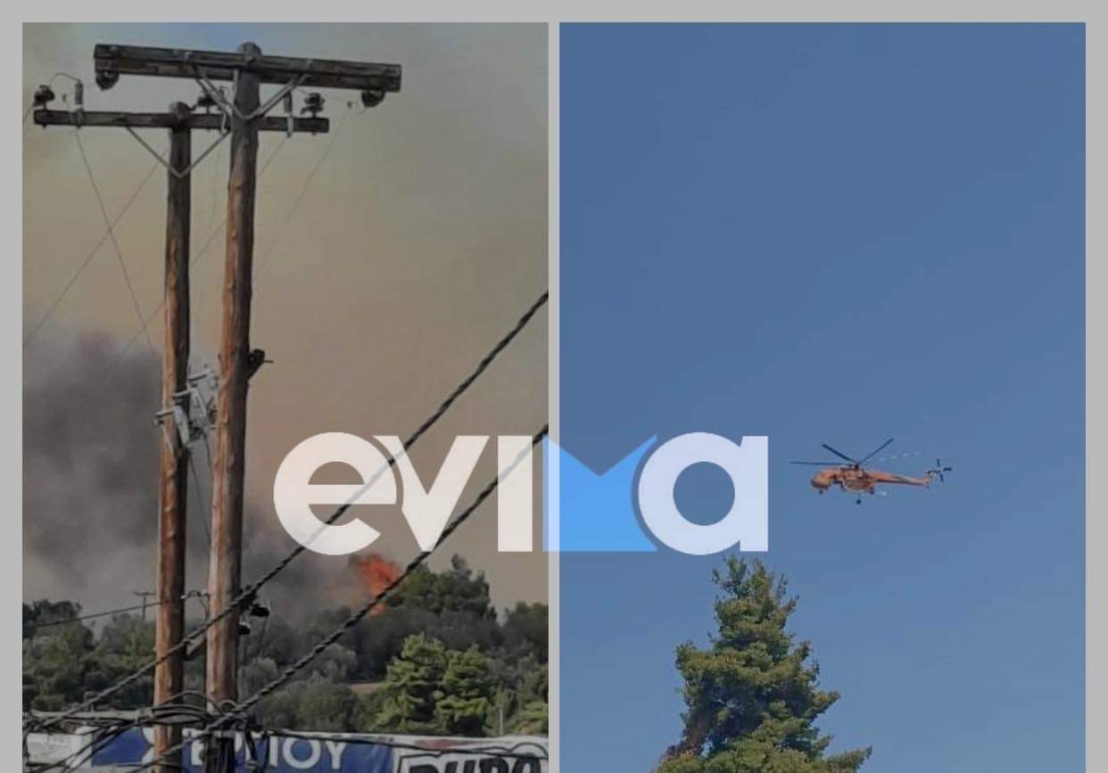 Εύβοια – Φωτιά στη Λίμνη: Στη μάχη της κατάσβεσης δύο ελικόπτερα και δύο αεροπλάνα [εικόνες]