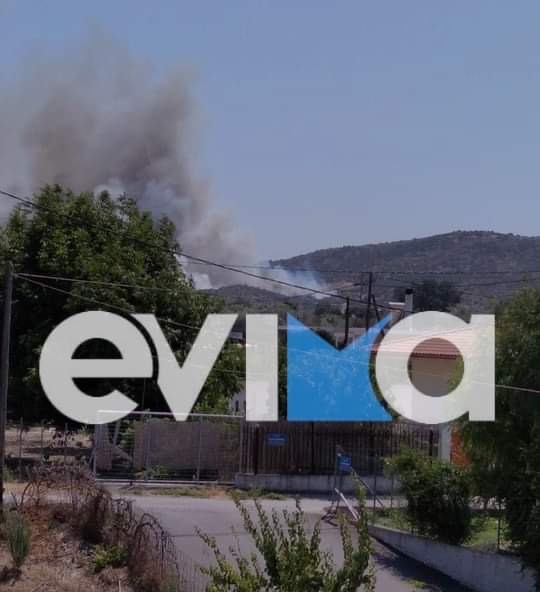 Κελαϊδίτης: Η φωτιά στη Χαλκίδα δείχνει να τίθεται υπό έλεγχο