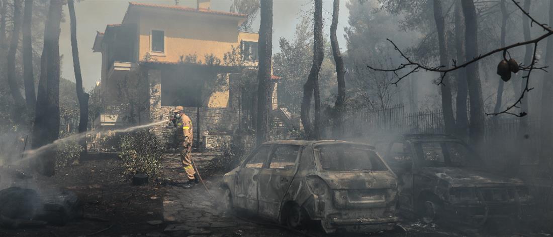 Φωτιά στη Σταμάτα: Συνελήφθη ο μελισσοκόμος – Κατηγορείται για εμπρησμό