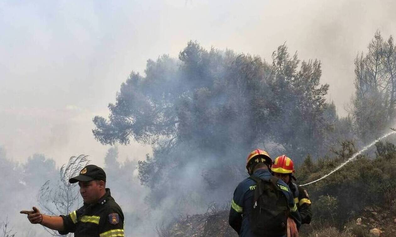 Φωτιά σε χορτολιβαδική έκταση στην Άνδρο