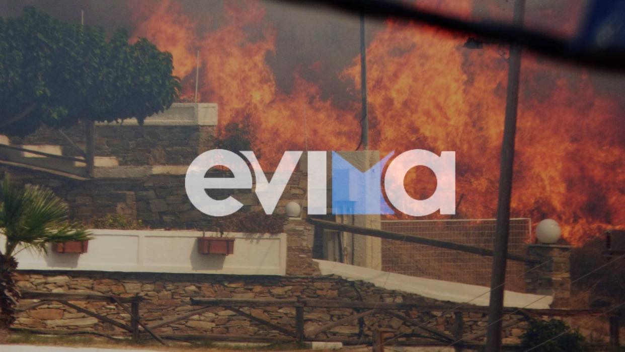 Φωτιά στην Κάρυστο: «Οι φλόγες έγλειψαν τα σπίτια μας» δήλωσε κάτοικος της περιοχής (pics)