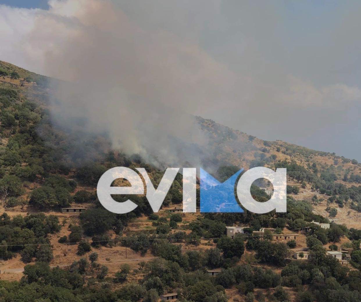 Νότια Εύβοια: Φωτιά στο Θύμι Καρύστου – Κοντά σε σπίτια οι φλόγες