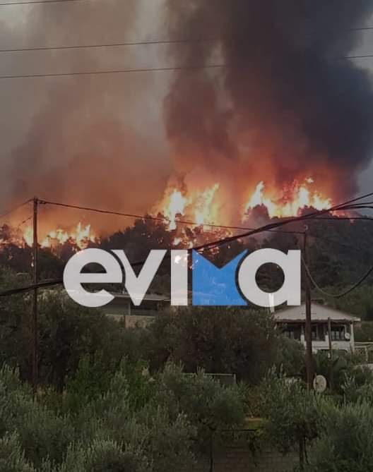 Φωτιά Εύβοια: «Θα μας κάψουν» – Κραυγές αγωνίας από κατοίκους