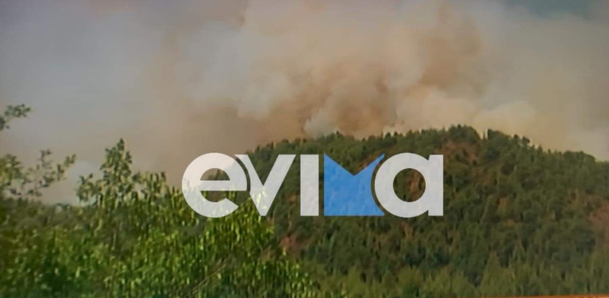 Φωτιά Εύβοια: Πύρινη κόλαση – Μια ανάσα από το χωριό Τρούπι οι φλόγες