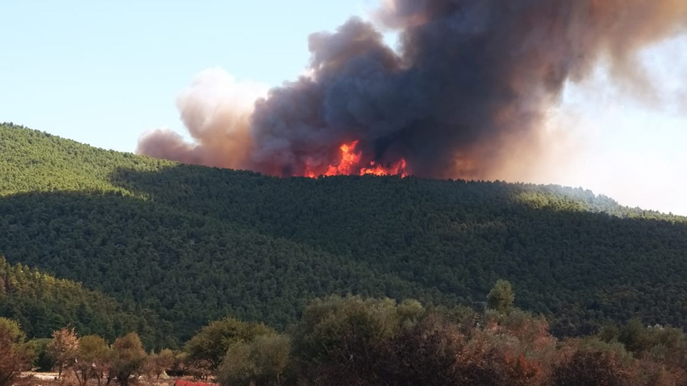 Νέα φωτιά ΤΩΡΑ στα Βίλια