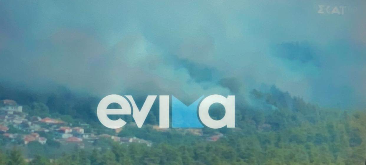 Φωτιά Εύβοια: Μεγάλο μέτωπο ΤΩΡΑ στο χωριό Σπαθάρι – Αποκαρδιωτικές εικόνες
