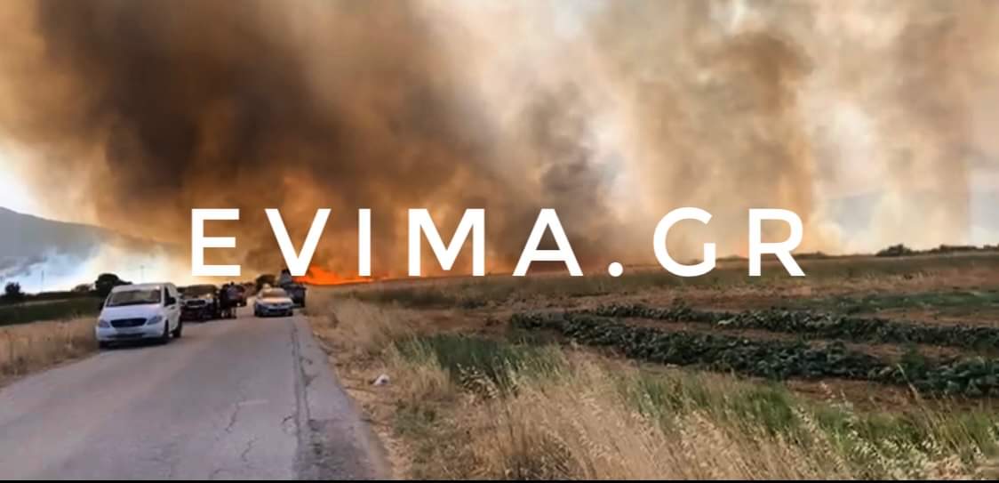 Εύβοια: Μεγάλη Φωτιά  – ΤΩΡΑ στα Κριεζά δίπλα σε επιχείρηση και σε σπίτια