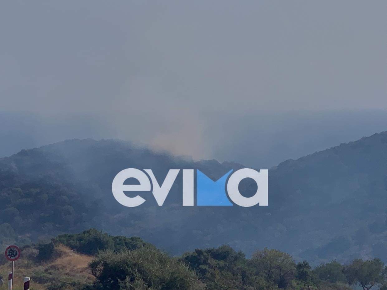 Εύβοια: Φωτιά στις Πετριές κοντά στο χωριό – Συναγερμός στην πυροσβεστική