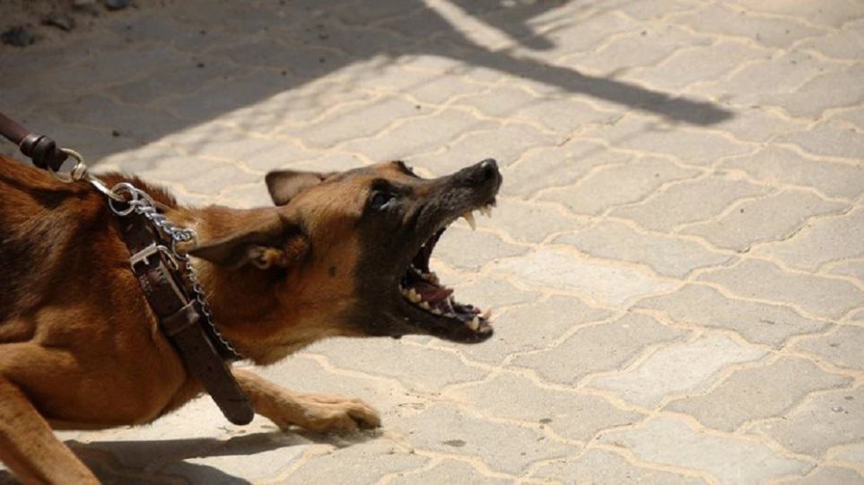 Σκύλος δάγκωσε αστυνομικό και τον σκότωσε με το υπηρεσιακό του όπλο