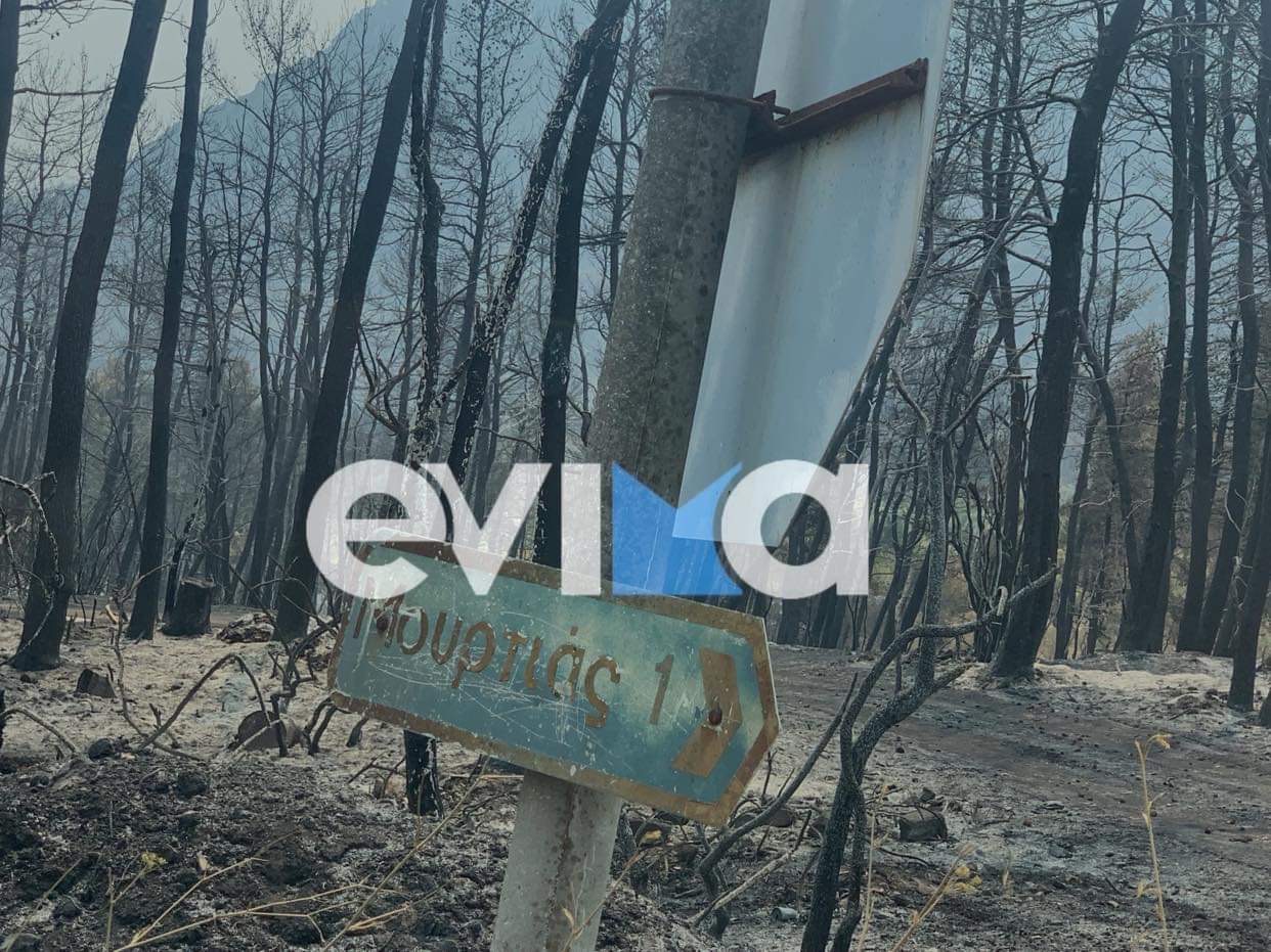 Σκέρτσος: Προτεραιότητα της κυβέρνησης η αποκατάσταση των ζημιών στις πυρόπληκτες περιοχές