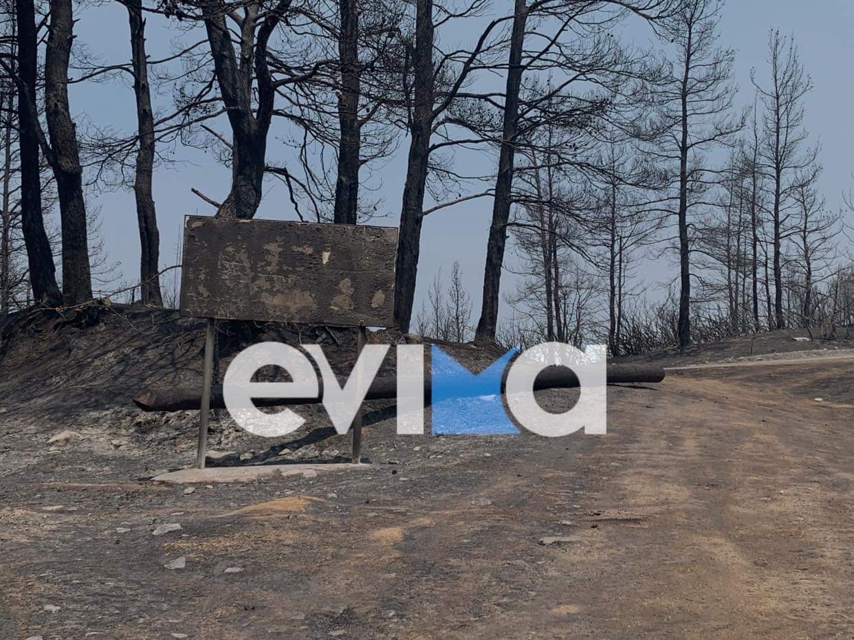 Yποβολή αιτήσεων για αποζημιώσεις από τις πυρκαγιές στην Περιφέρεια Στερεάς Ελλάδας
