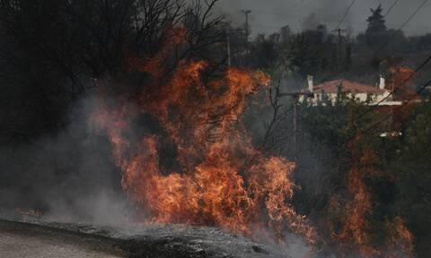 Κακουργηματική δίωξη σε βάρος 43χρονου για εμπρησμό στο Κρυονέρι