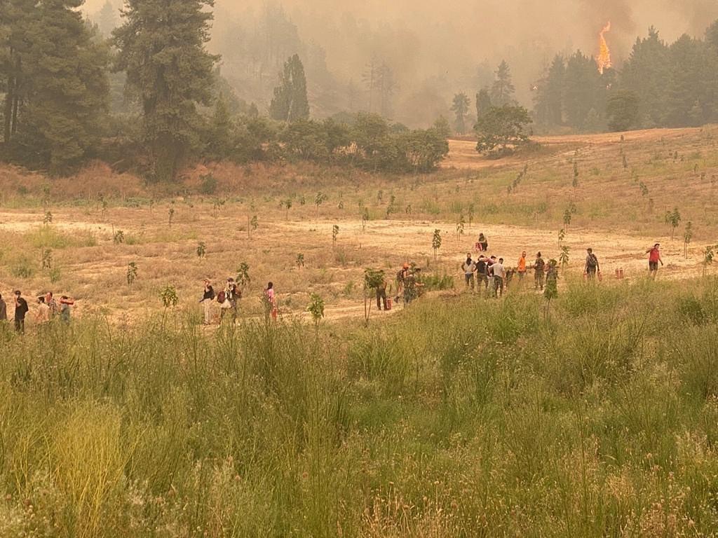 Φωτιά Εύβοια Χατζηγιαννάκης: Στο πλευρό των εθελοντών στο χωριό Καματριάδες