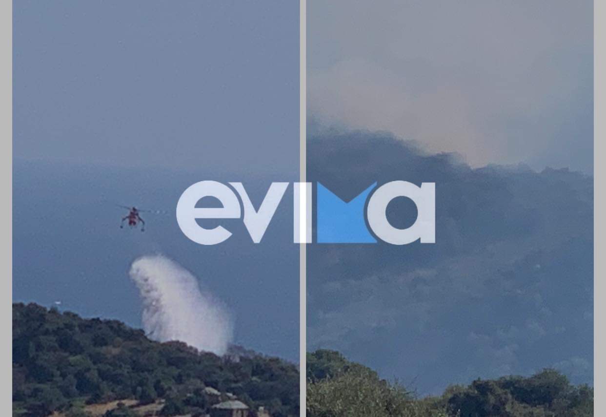 Νότια Εύβοια: Υπό έλεγχο η φωτιά στις Πετριές [εικόνες]