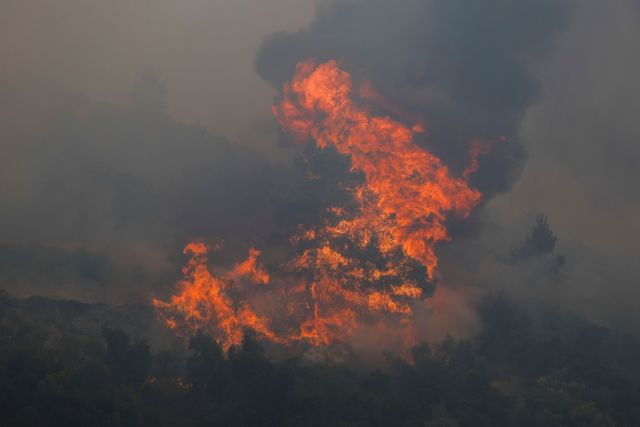 Φωτιά Αττική: Εκκένωση σε Μαλακάσα, Καπανδρίτι και Πολυδένδρι
