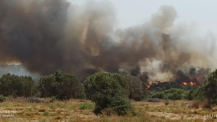 Φωτιά σε δασική έκταση στη Ρόδο