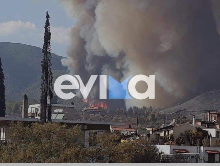 Φωτιά στην Εύβοια: Επέστεψαν στο Πευκί οι φλόγες – Δεν φεύγουν οι κάτοικοι
