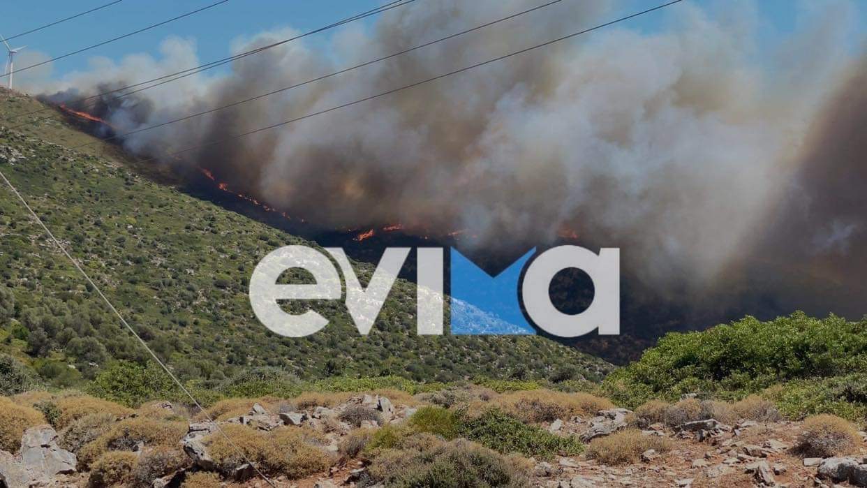 Νότια Εύβοια: Νέα φωτιά στα Μεσοχώρια του Δήμου Καρύστου – Κατευθύνεται προς το χωριό [εικόνες]