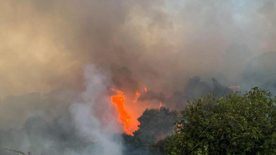 Φωτιά στα Βίλλια Αττικής σε δασική εκταση