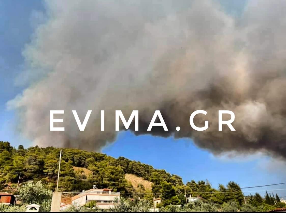 Φωτιά στη Λίμνη Ευβοίας: Τουλάχιστον 150 σπίτια έχουν καεί μέχρι στιγμής