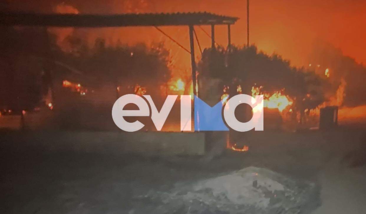 Φωτιά Εύβοια: Παρανάλωμα του πυρός  – Κάηκαν σπίτια και αυτοκίνητα στη Δάφνη [εικόνες]