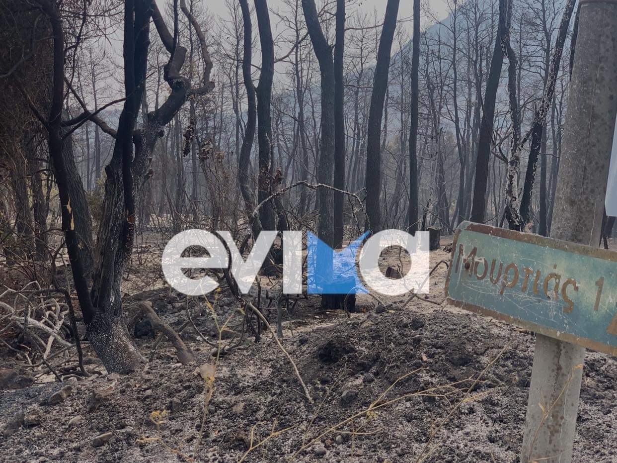 Εύβοια: Χιλιάδες στρέμματα παραδόθηκαν στις φλόγες το φετινό καλοκαίρι – Τεράστια καταστροφή