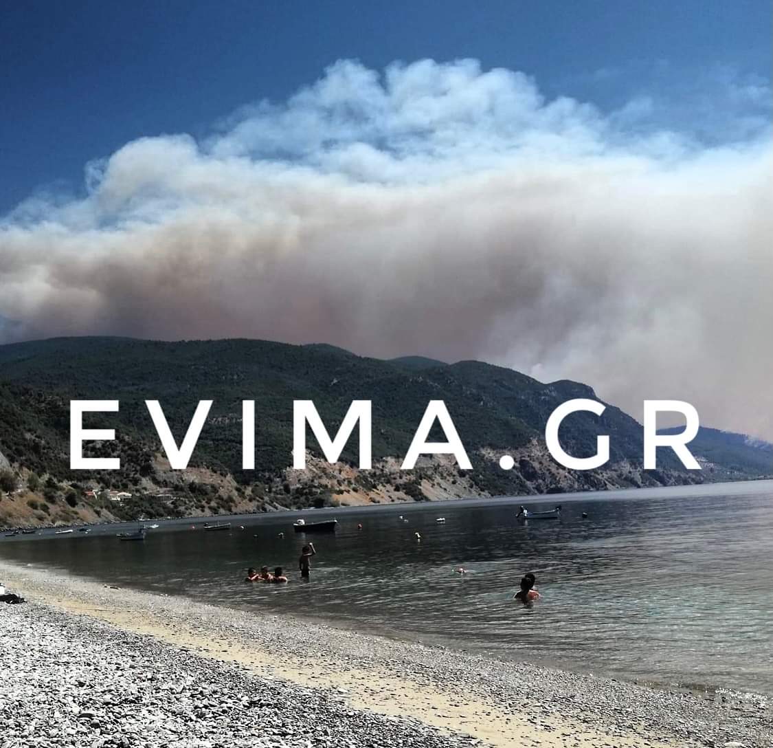 Φωτιά Εύβοια: Αντιπεριφερειάρχης για εκκενώσεις – Ήμασταν ένα στάδιο πριν γίνουν αναγκαστικές