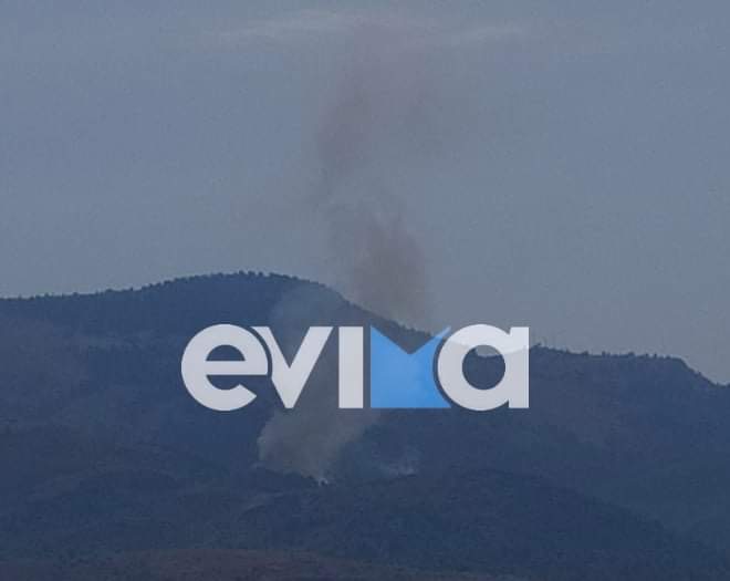 Εύβοια: Φωτιά στο Μίστρο σε δασική έκταση