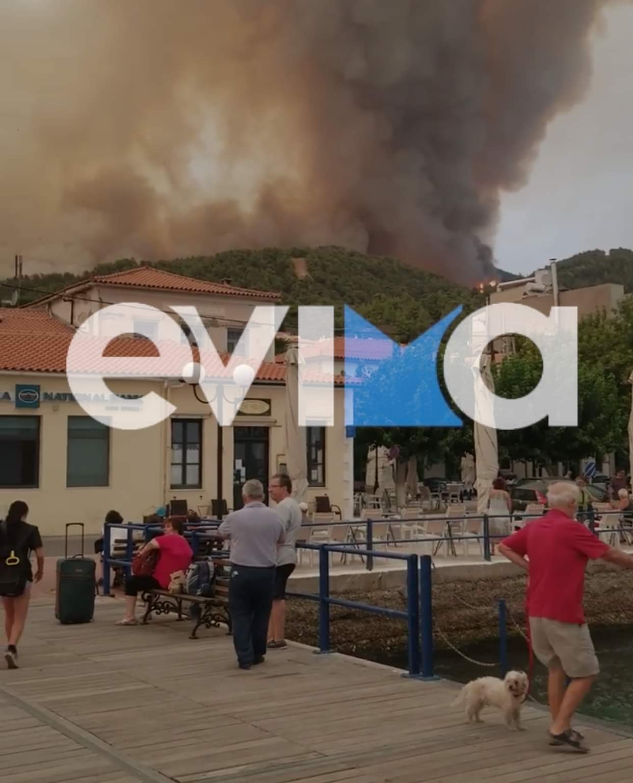 Φωτιά Εύβοια: Εκκενώνεται η Λίμνη με μήνυμα από το 112 – Δύο ferry boat θα μεταφέρουν τον κόσμο στην Αιδηψό