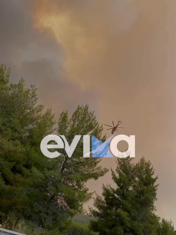 Εύβοια – Φωτιά: Καίγονται σπίτια ΤΩΡΑ στις Ροβιές [εικόνα]