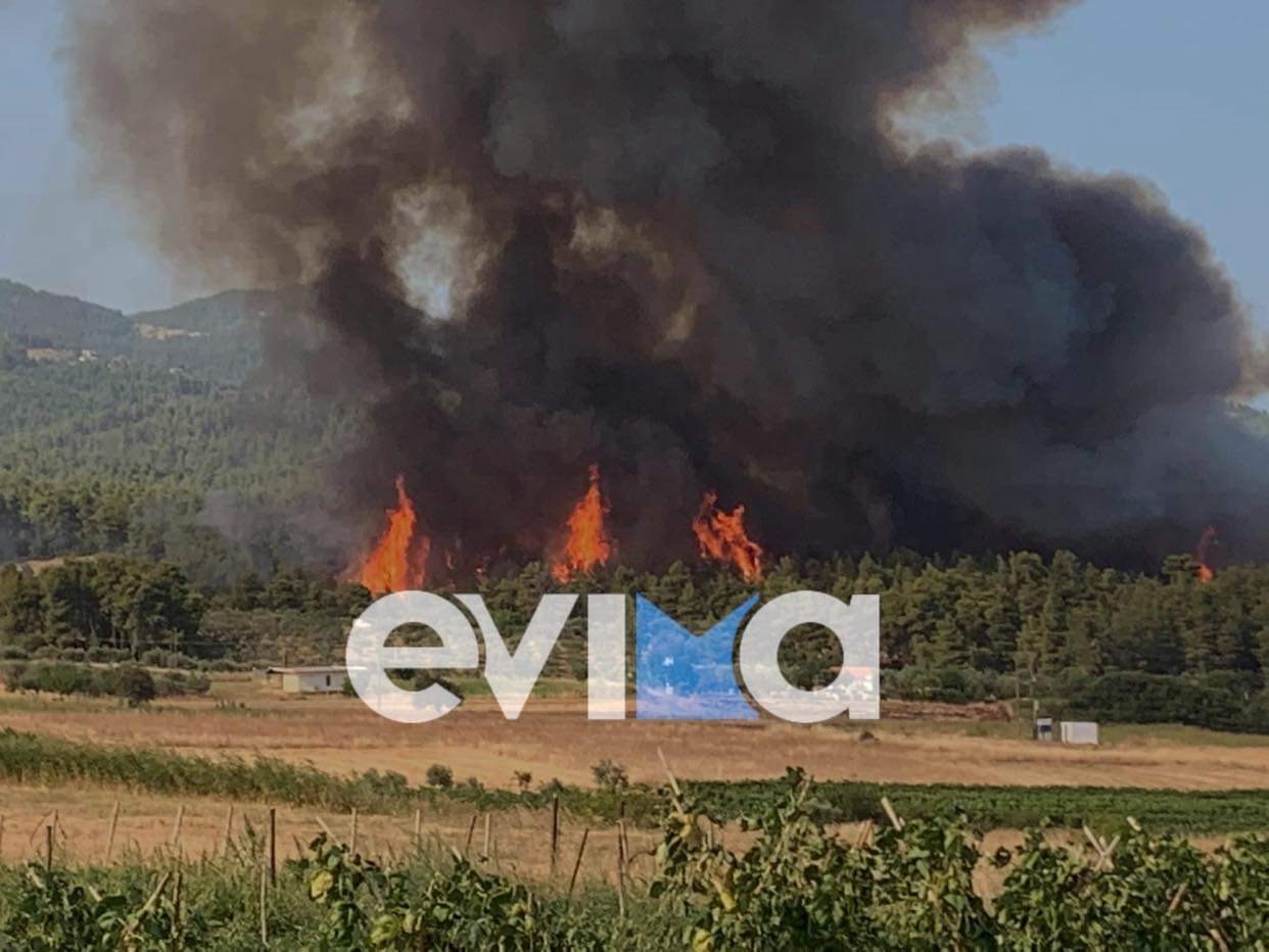 Φωτιές – Πολύ υψηλός κίνδυνος πυρκαγιάς σήμερα Δευτέρα για την Εύβοια