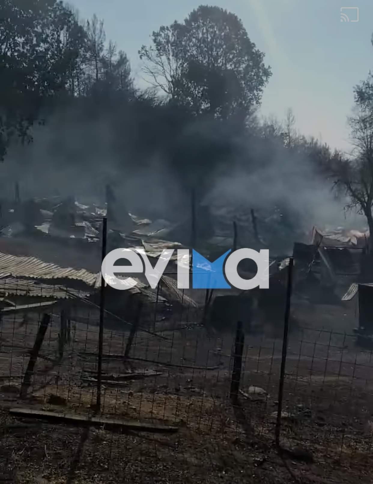 Άμεση στήριξη των πυρόπληκτων κτηνοτρόφων στην Περιφερειακή Ενότητα Εύβοιας με ζωοτροφές