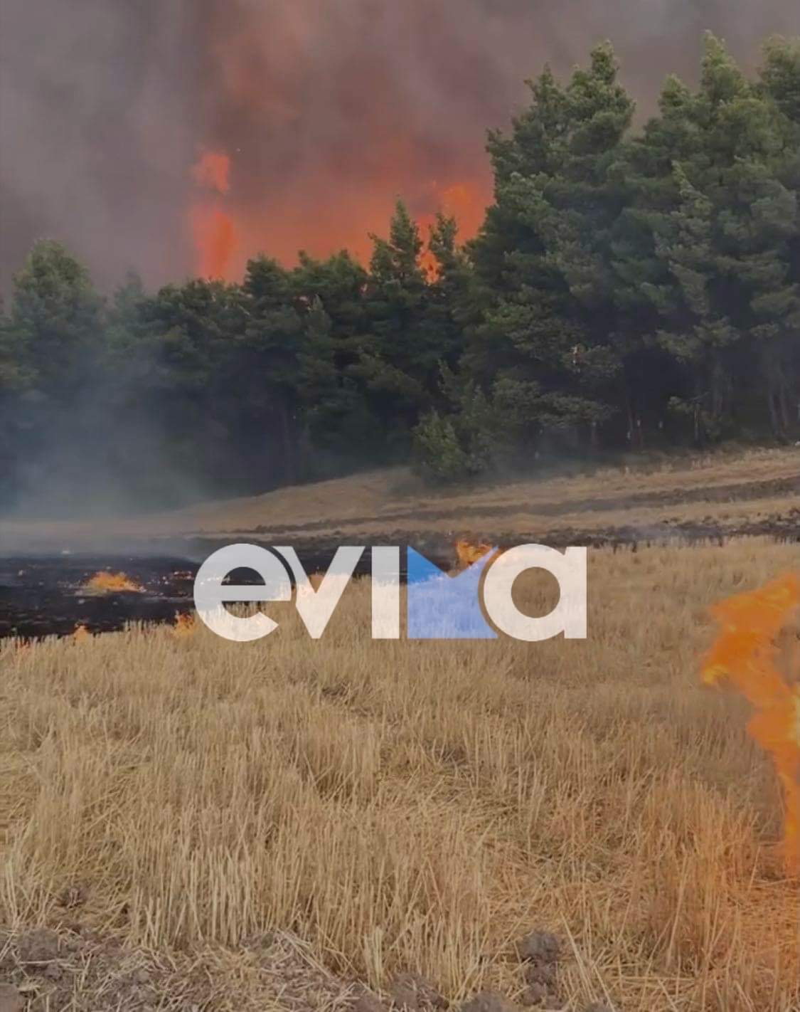 Φωτιά Εύβοια: Πυροσβέστης με κατάγματα στο νοσοκομείο Χαλκίδας