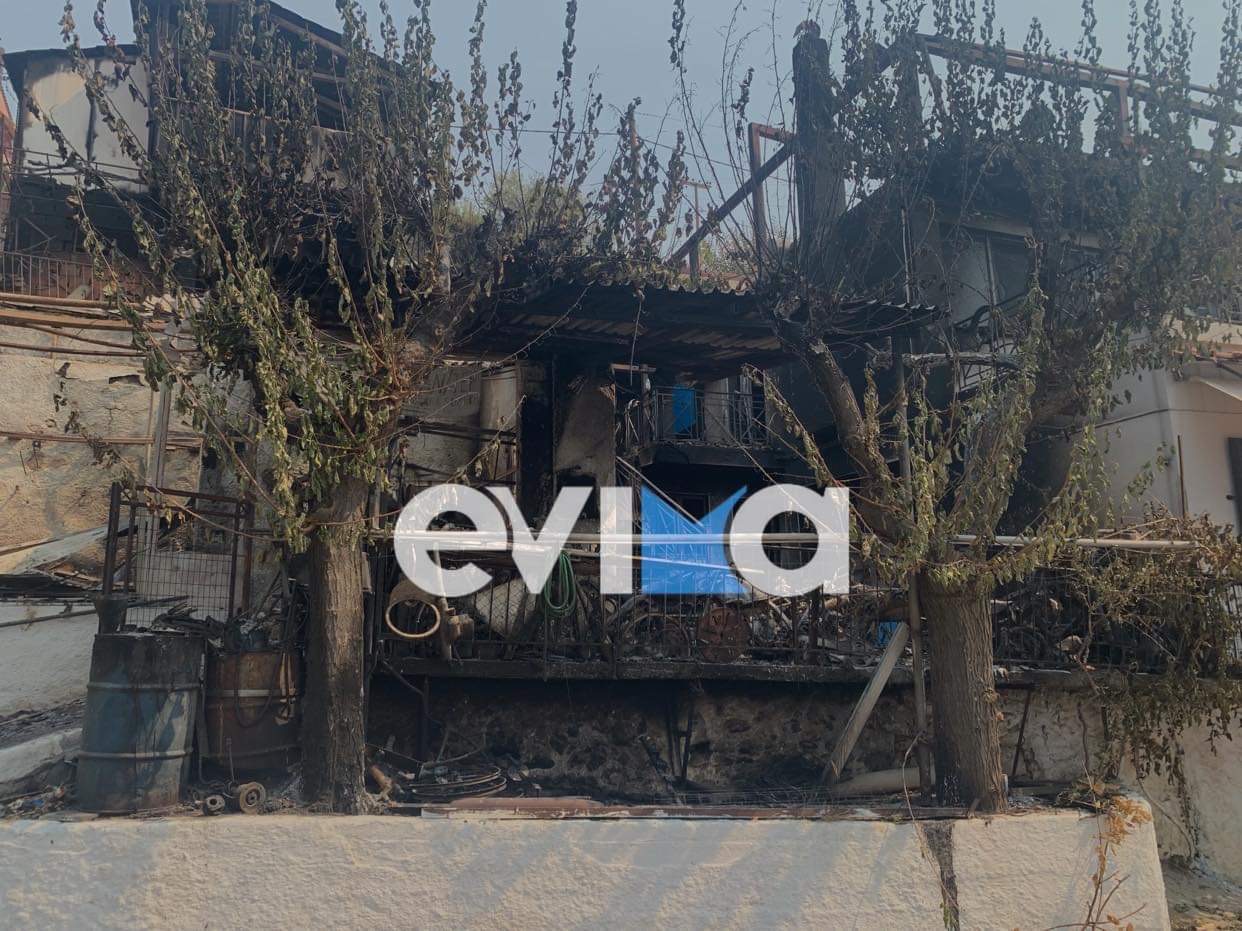 Φωτιά Εύβοια: Άνοιξε η πλατφόρμα arogi.gov.gr για τις αποζημιώσεις των πληγέντων – Οδηγίες για την αίτηση