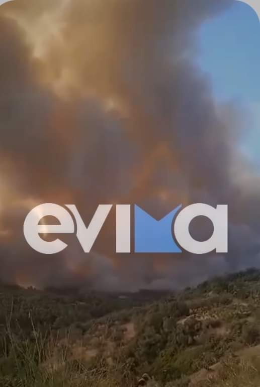 Τσαπουρνιώτης για φωτιά στη Δάφνη: Εκκενώνουμε χωριά, η φωτιά κινείται απειλητικά προς Ροβιές και Όσιο Δαυίδ