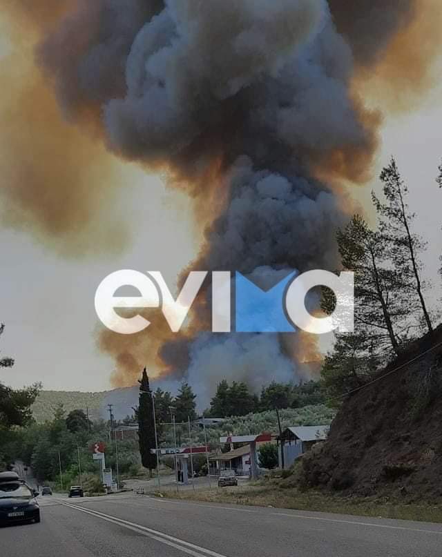 Εύβοια: Μεγάλη φωτιά ΤΩΡΑ στη Δάφνη του Δήμου Μαντουδίου Λίμνης Αγίας Άννας – Εκκενώνονται δύο χωριά