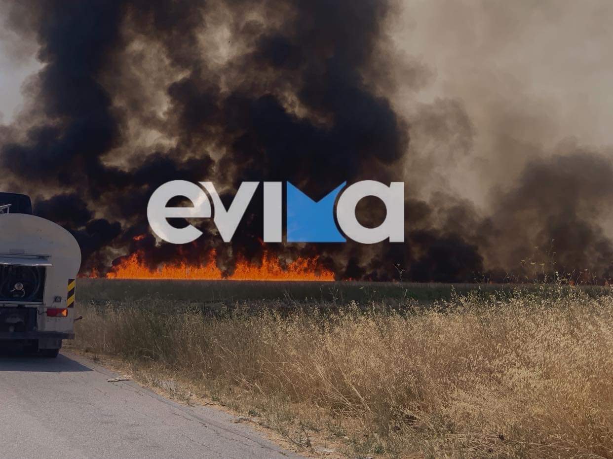 Αντιδήμαρχος Δυστίων στο evima.gr: Καλύτερη η εικόνα της φωτιάς στα Κριεζά