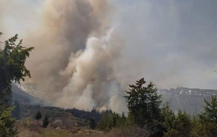 Μεγάλη φωτιά στη Φωκίδα: Καίγονται σπίτια – Εκκενώνεται το χωριό Ελαία