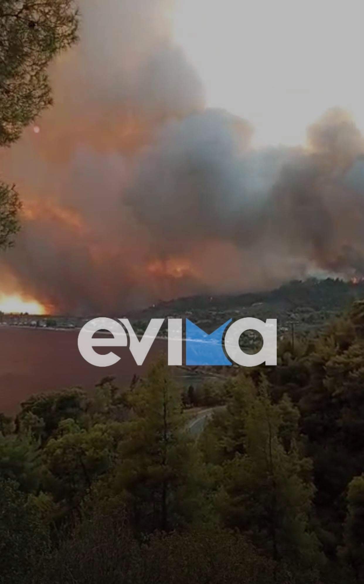 Τσαπουρνιώτης στο evima.gr: Καίγονται σπίτια και επιχειρήσεις από τη φωτιά στη Δάφνη