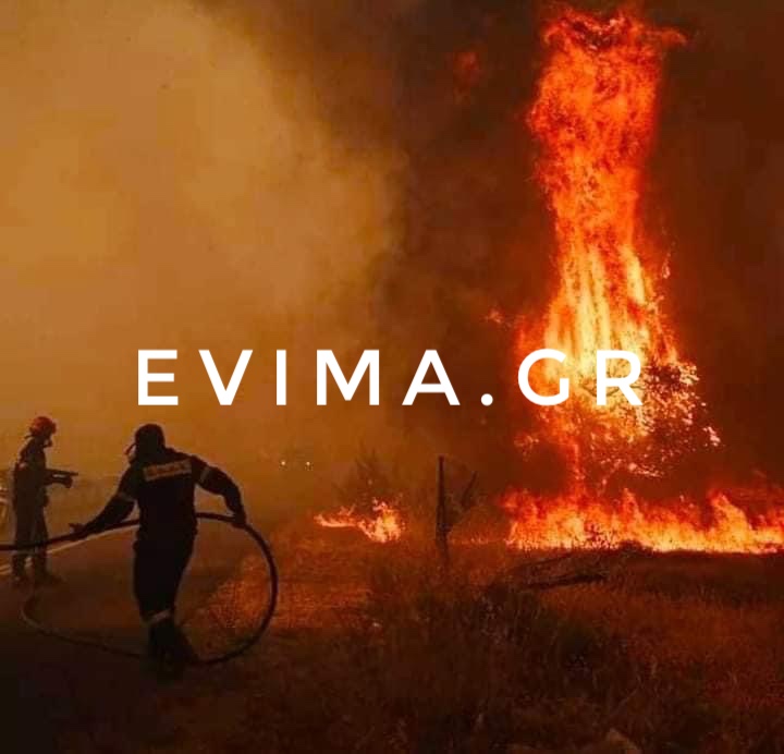 Φωτιά στην Εύβοια: Εκτός ελέγχου το πύρινο μέτωπο στη Δάφνη – Εκκενώθηκαν τρία χωριά