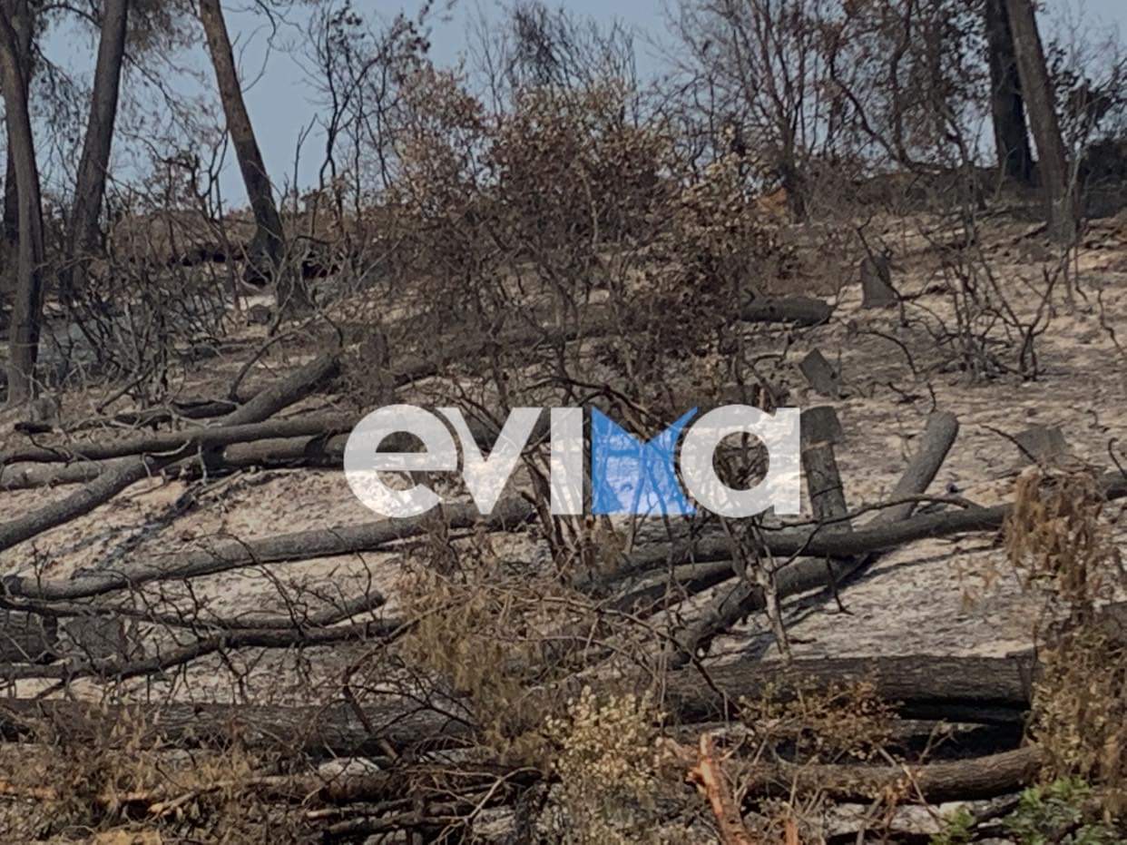 Φωτιά: Κρανίου τόπος η Εύβοια – Τo ένα τρίτο των δασών κάηκε