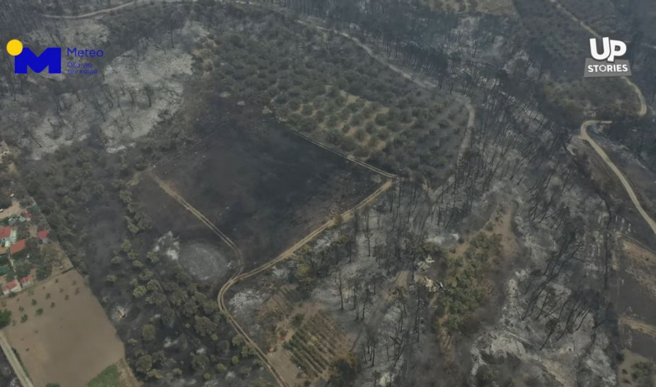 Φωτιά στην Εύβοια: Η βιβλική καταστροφή απο ψηλά – Στάχτη και αποκαϊδια  (vid)