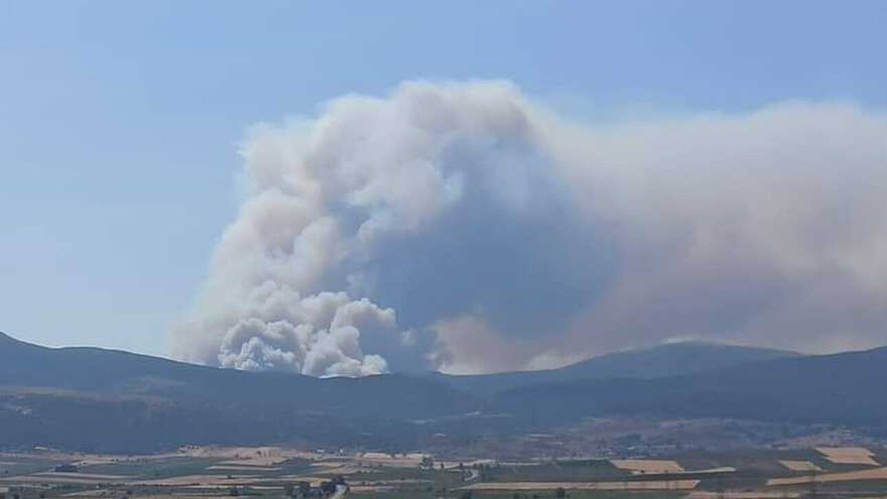 Νέα φωτιά στα Βίλια: Εκκενώθηκαν προληπτικά δύο οικισμοί