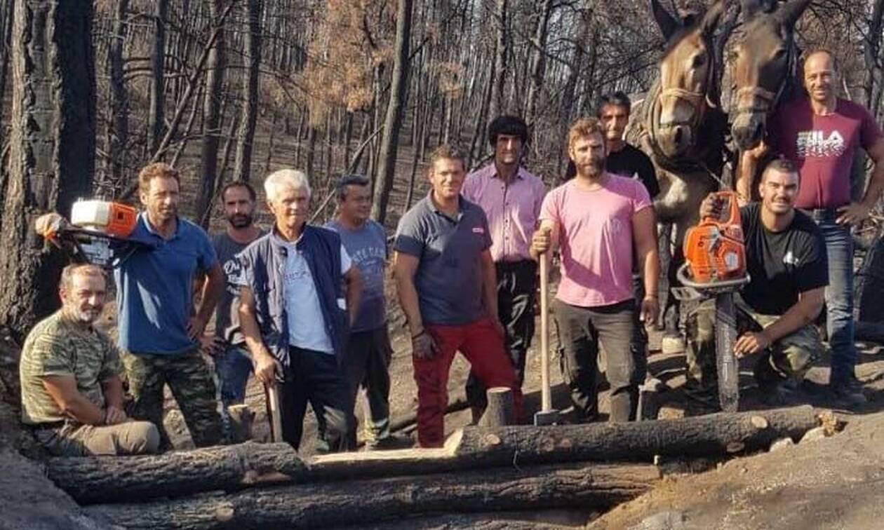 Εύβοια: Ορίστηκαν οι πρώτοι «ανάδοχοι αναδάσωσης» μετά τις φωτιές του Αυγούστου