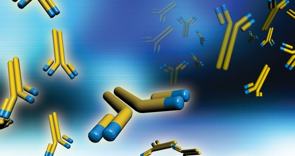 Mονοκλωνικά αντισώματα: Η «παρενέργεια» απ’ τη χορήγηση τους που φοβίζει περισσότερο τους επιστημονες